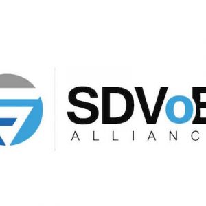 sdvoe ise 2018