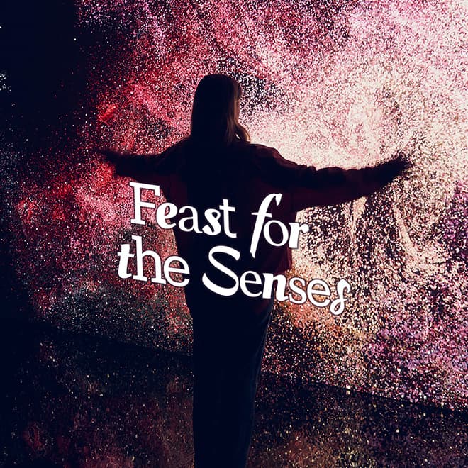 Issue 24: Feast for the Senses